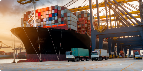 Denizyolu Taşımacılığı